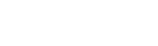 Guitar Shop Bluebird