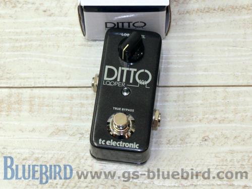 tc electronic DITTO LOOPER