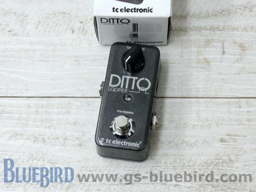 tc electronic DITTO LOOPER